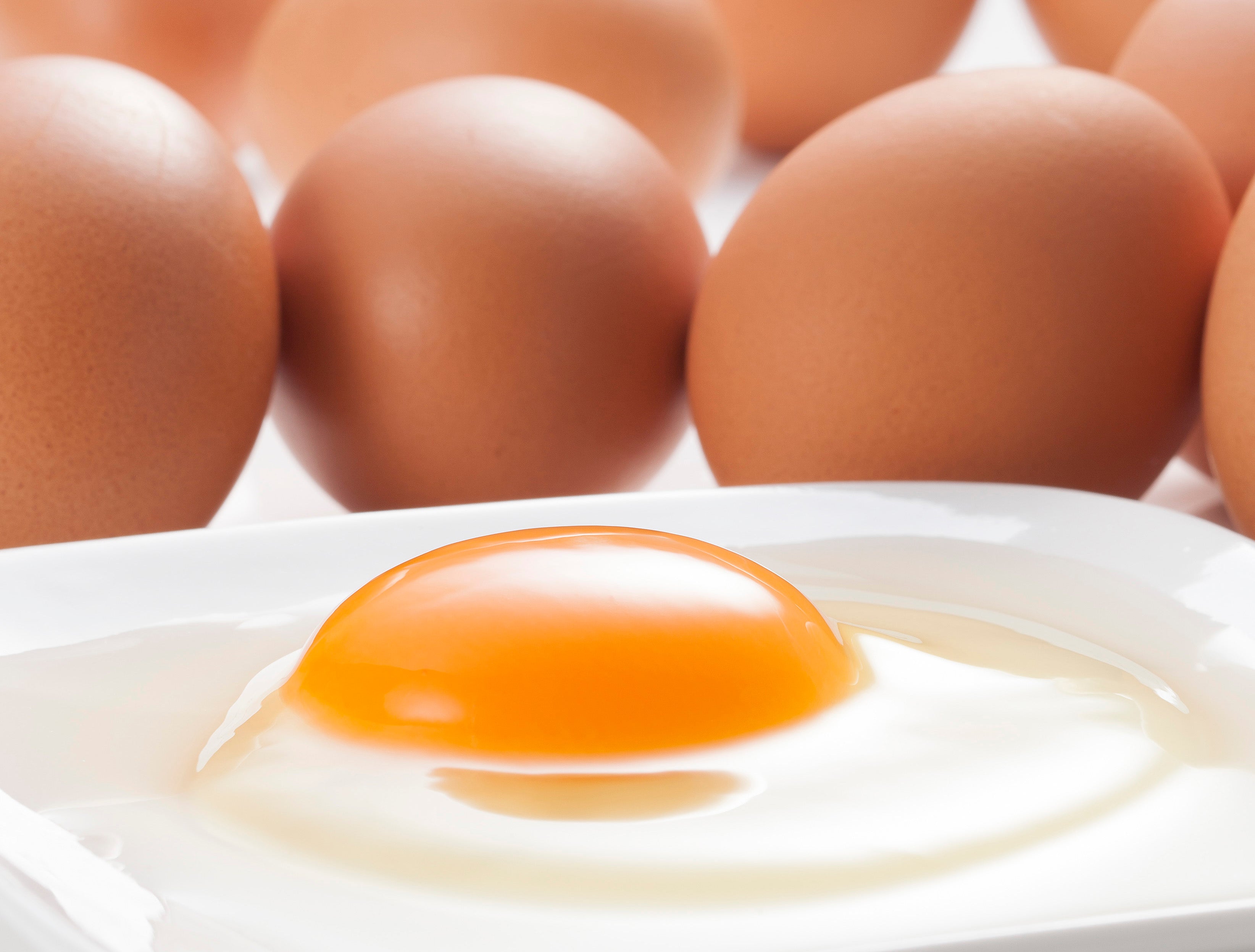 リニューアルのお知らせ