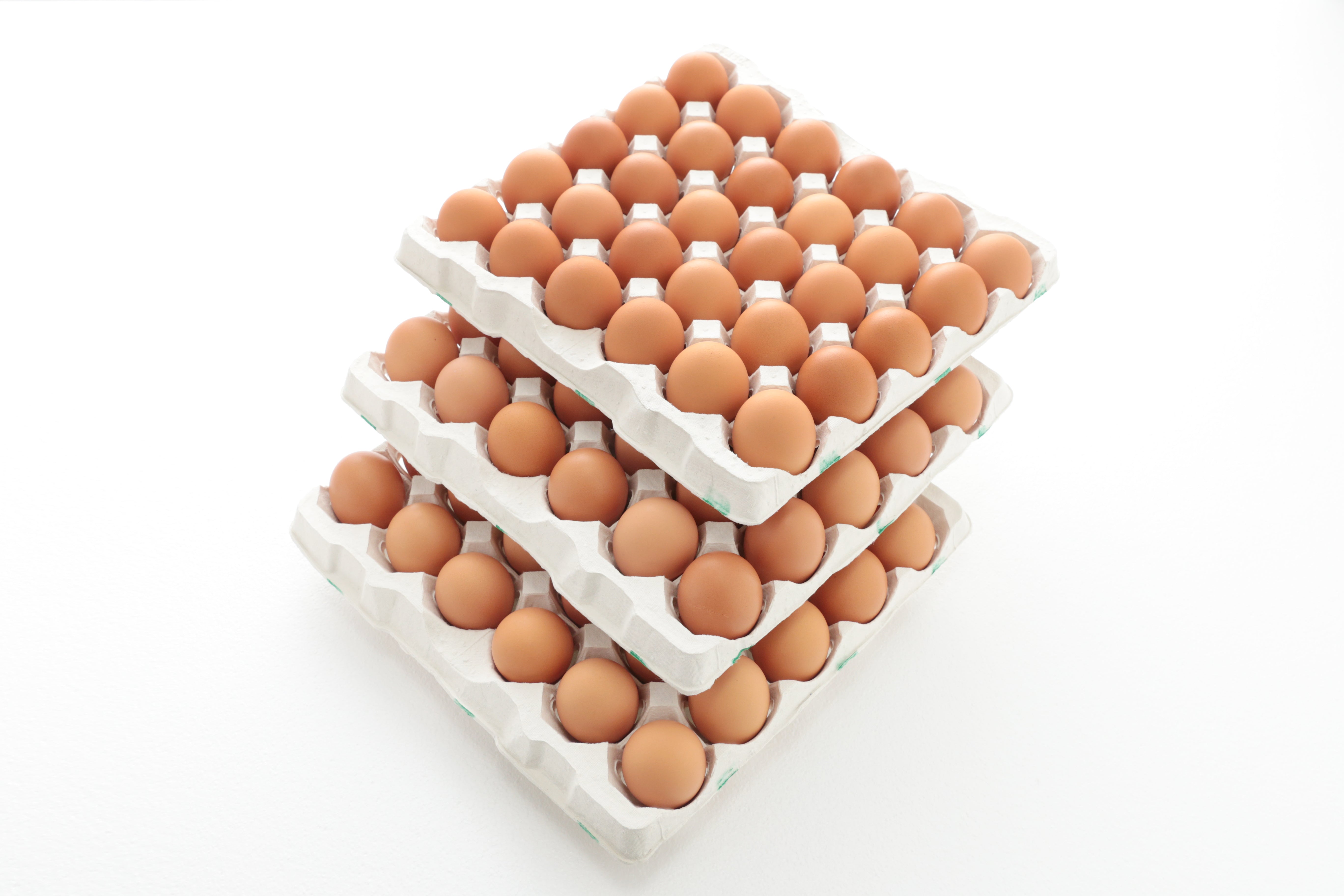 T4【定期便】「夢そだち」たまご75個(ごめんねたまご15個付き)送料別の