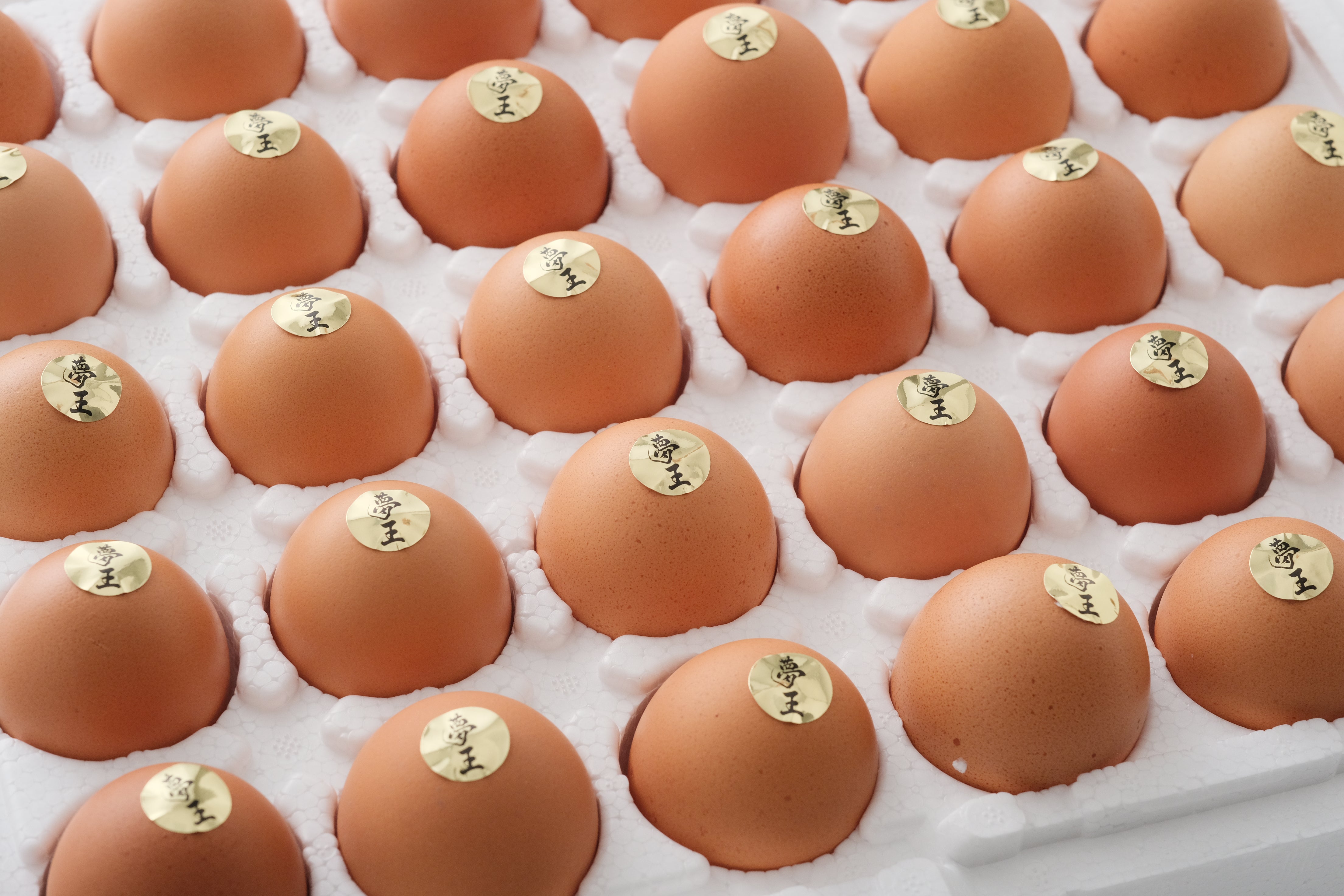 TD2【定期便】夢王30個入り【化粧箱】(送料別)【日にち指定不可】