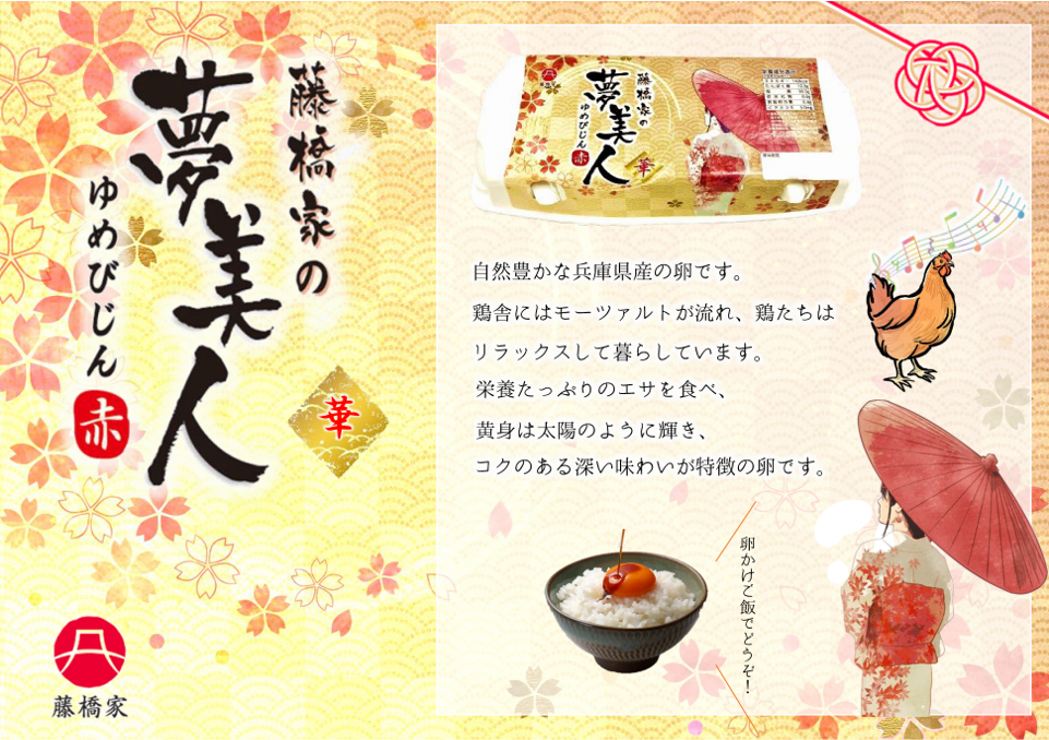藤橋家の夢美人 華 10個入り (送料別)